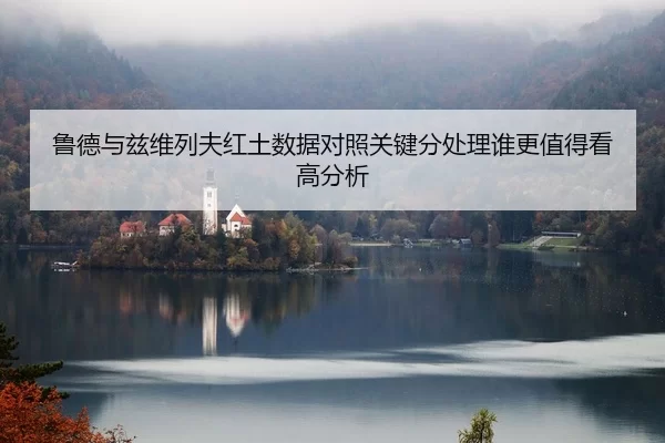 鲁德与兹维列夫红土数据对照关键分处理谁更值得看高分析